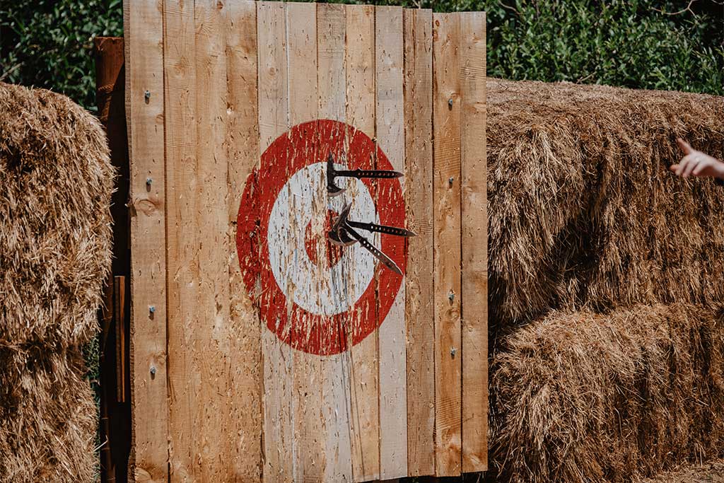 Hatchets buried in the wooden target