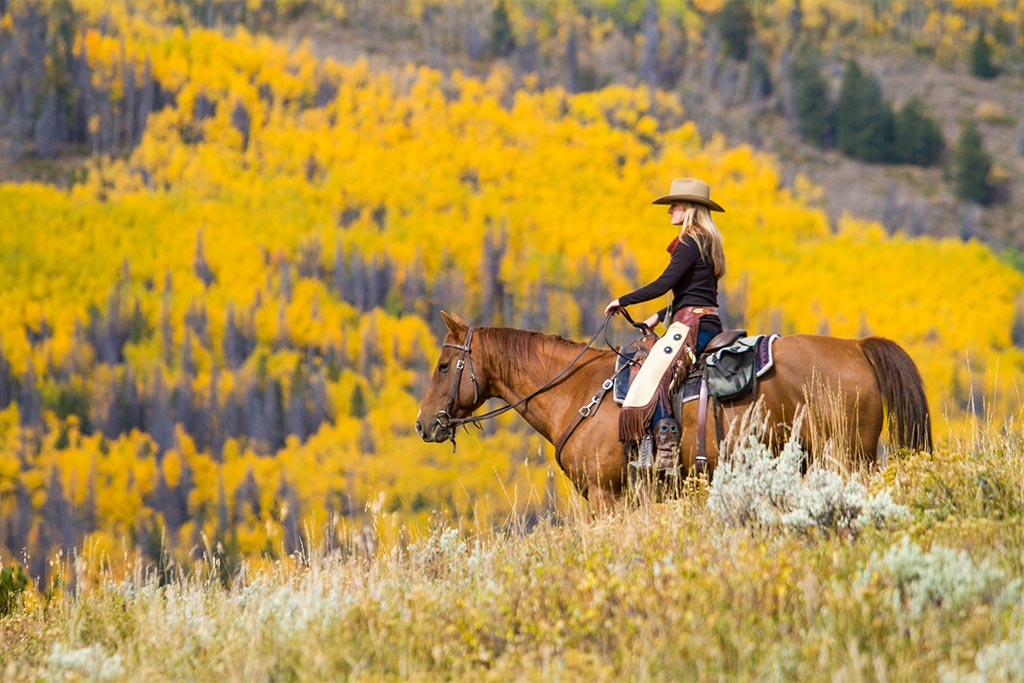 Horseback riding at C Lazy U Ranch