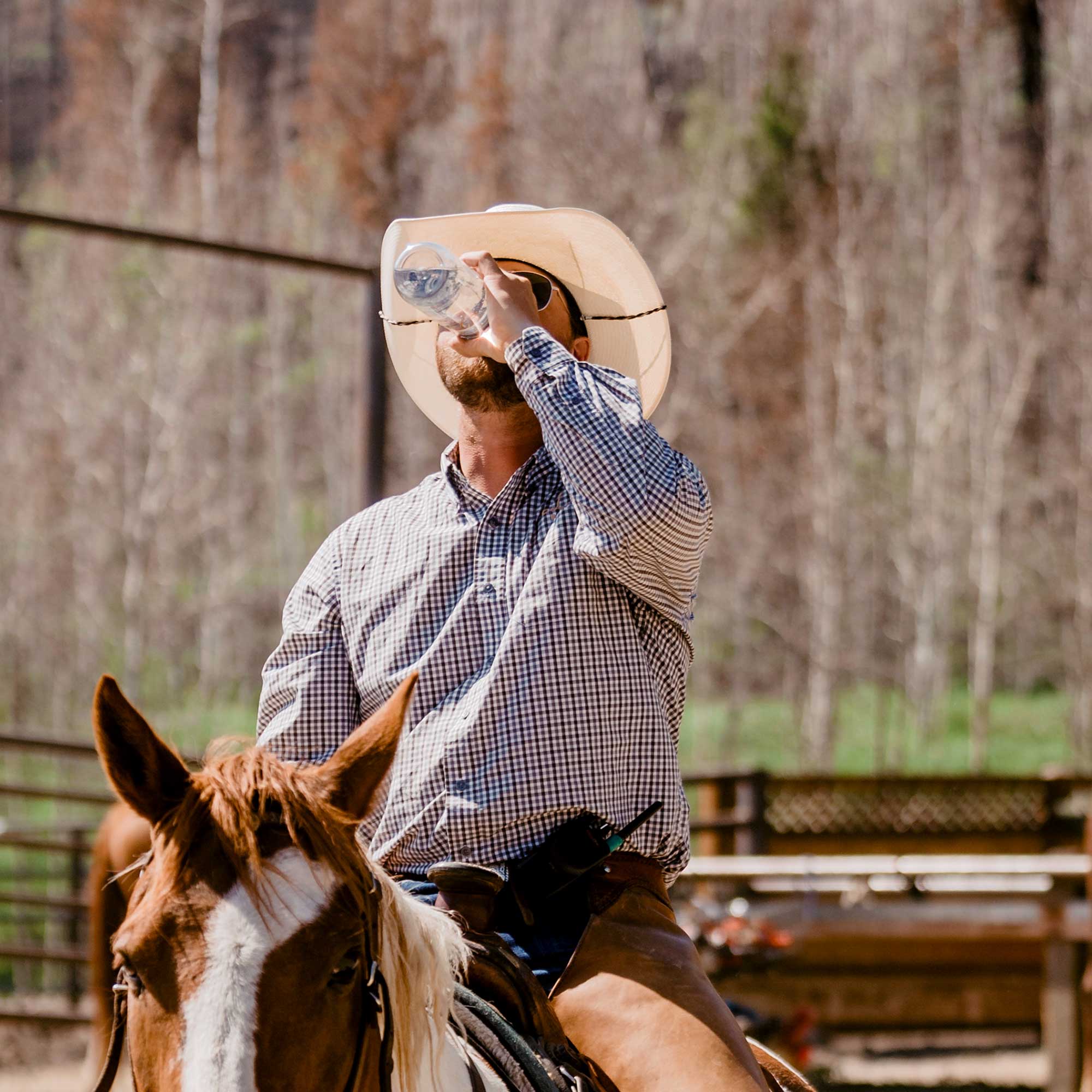 Cowboy drinking water while seated on horse