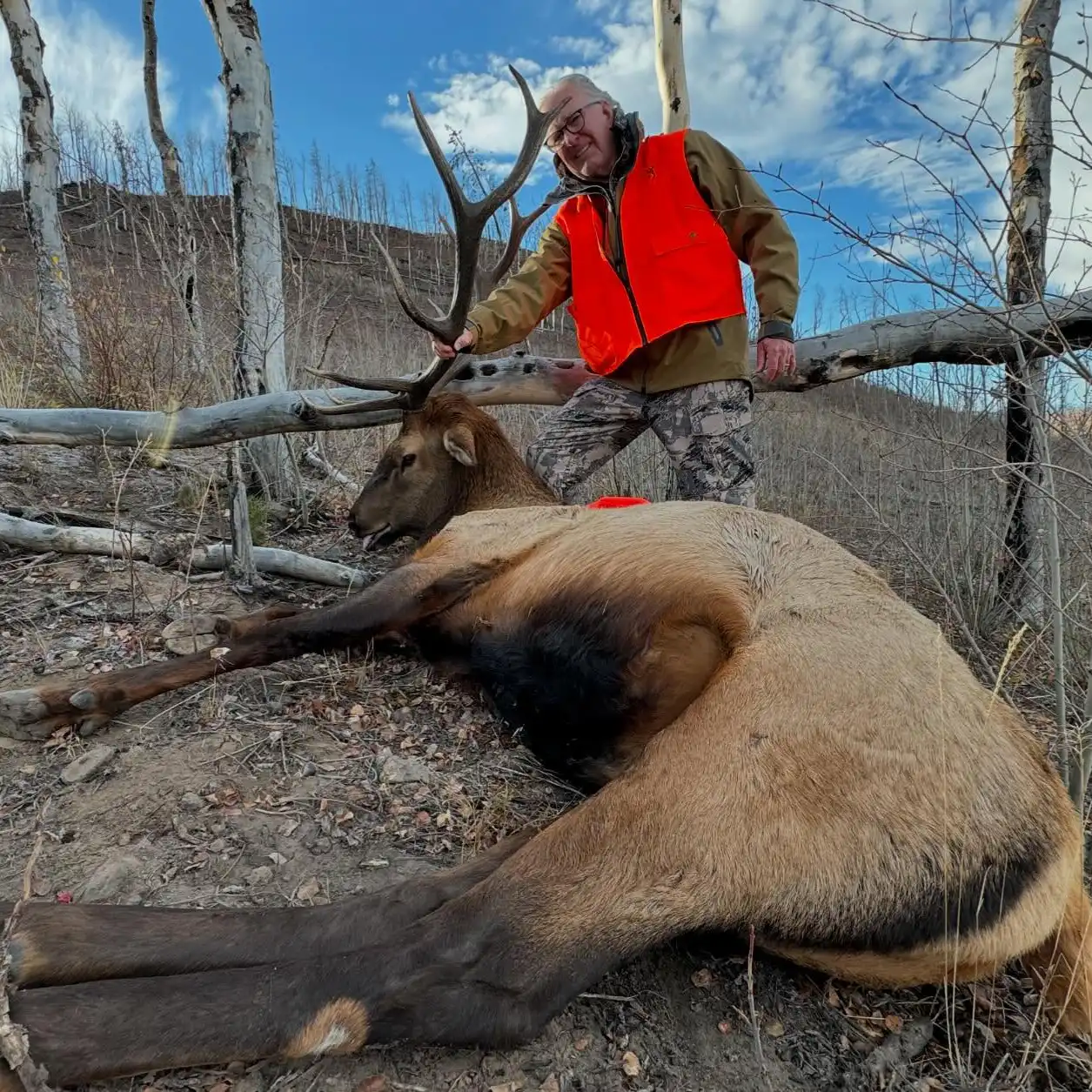 Another second season bull from 2024